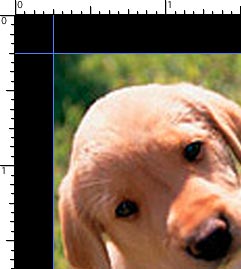 a partial picture of a dog with a border around it