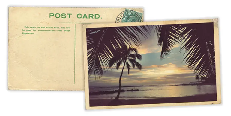 a vintage postcard, front and back sides, showing a beach scene with palm trees