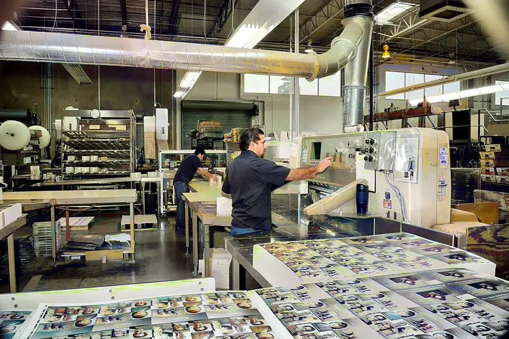 Bindery department worker cutting direct mail postcards to size after printing